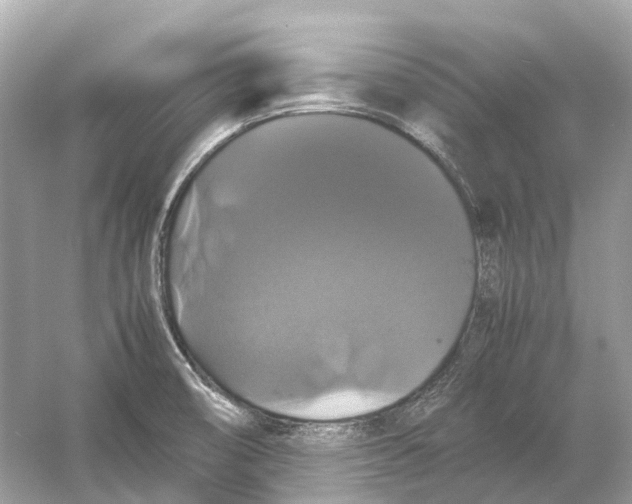 X0000054351474200508190115.png
