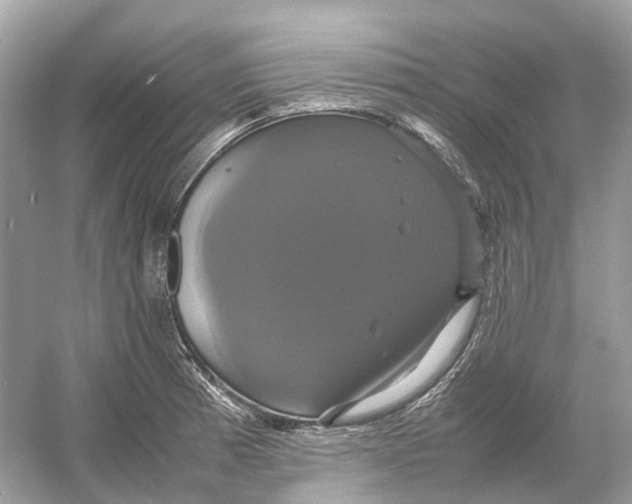 X0000054351185200508190120.png