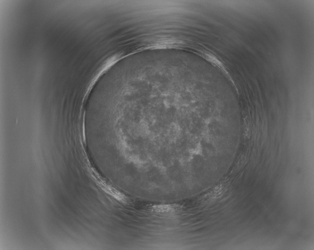 X0000055061227200508161637.png