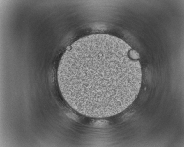 X0000053460463200508112202.png