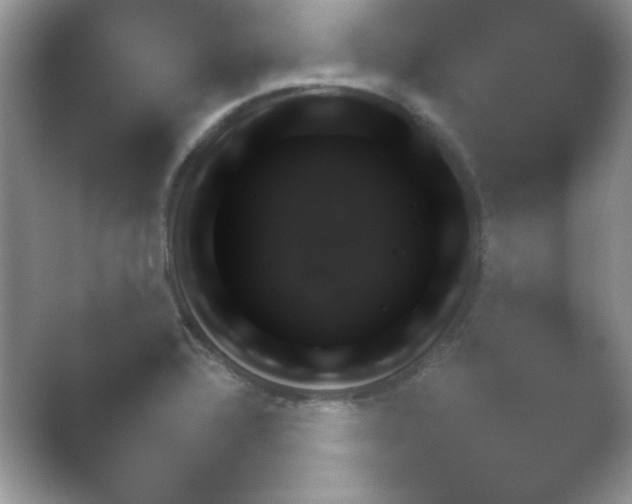 X0000054731320200508171841.png
