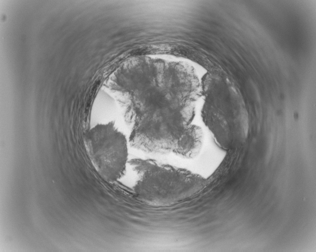 X0000054230707200508171512.png