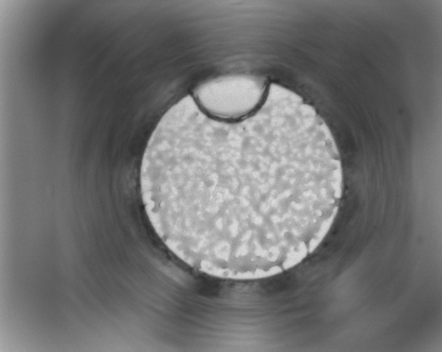 X0000053460081200508112208.png