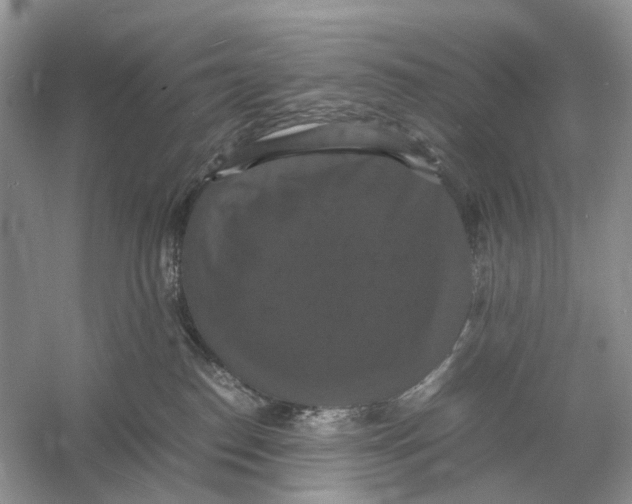 X0000054350186200508190138.png