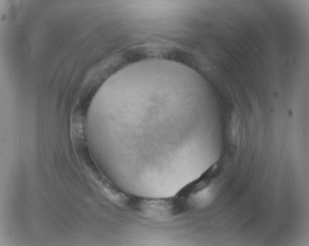 X0000054650137200508091651.png