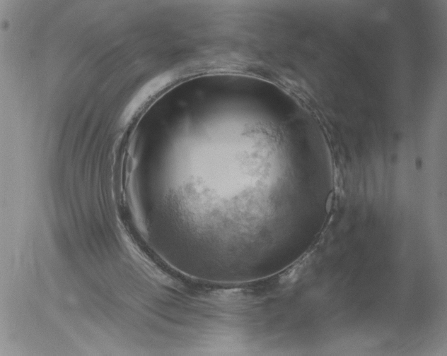 X0000054650054200508091652.png