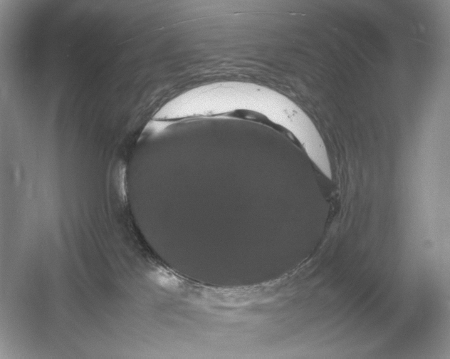 X0000054350041200508190139.png