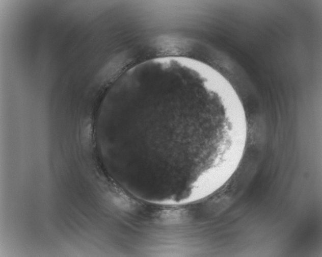 X0000053460314200508112204.png