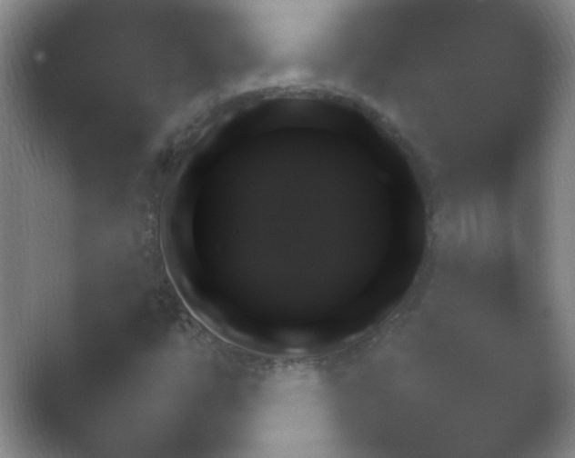 X0000054731447200508171839.png