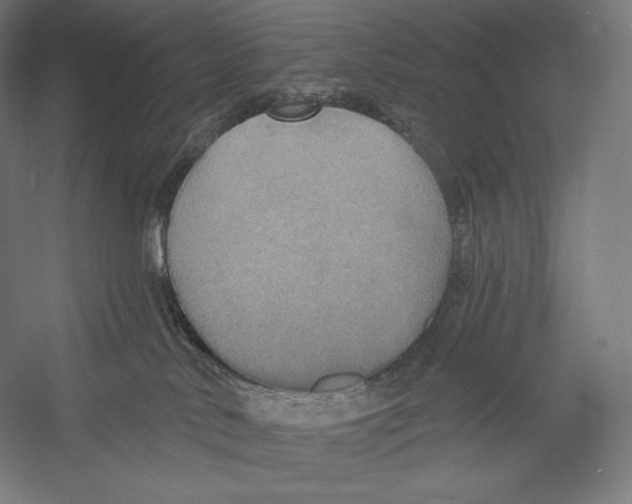X0000055250042200509071627.png