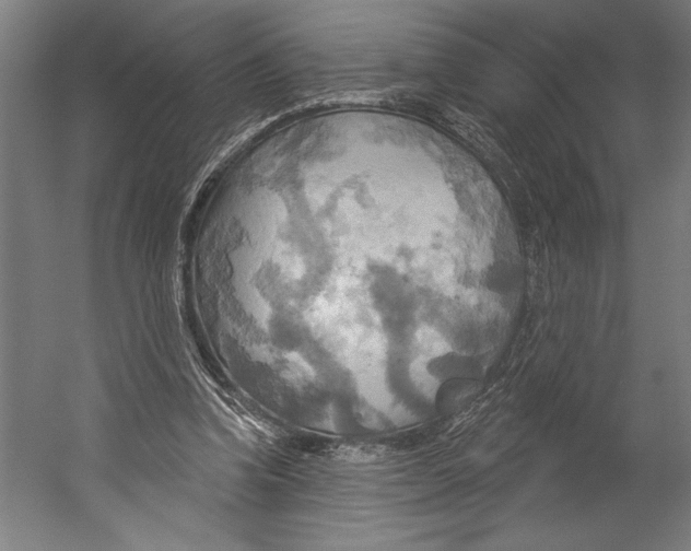 X0000055250346200509071621.png