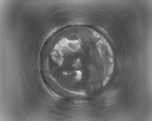 X0000054350439200508190132.png