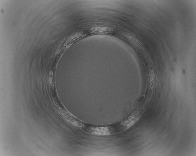 X0000054170361200508101805.png