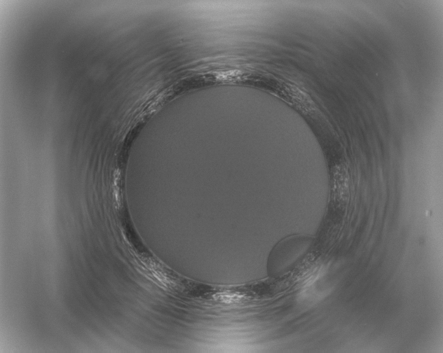 X0000054350650200508190129.png