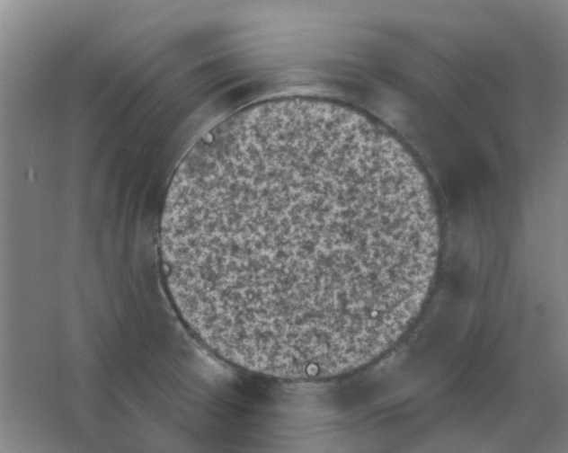 X0000053461377200508112146.png