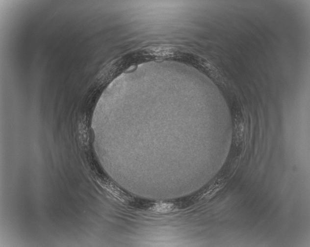 X0000054270609200508261918.png
