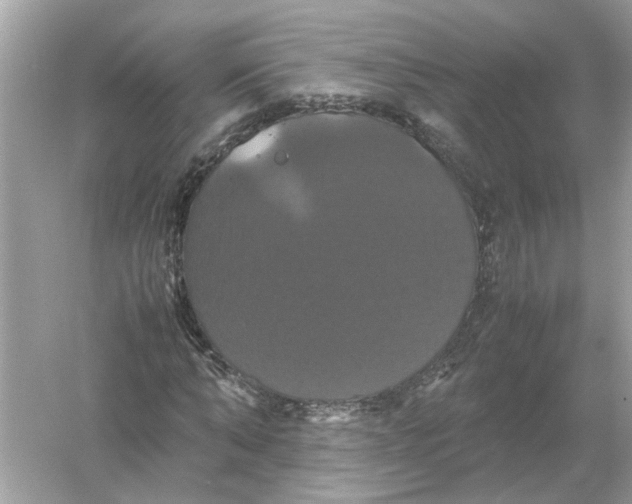 X0000054350870200508190125.png