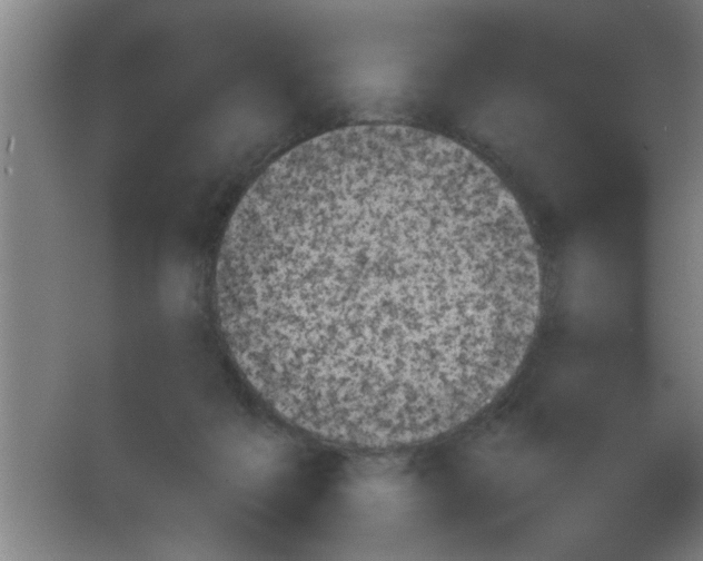 X0000053460217200508112206.png