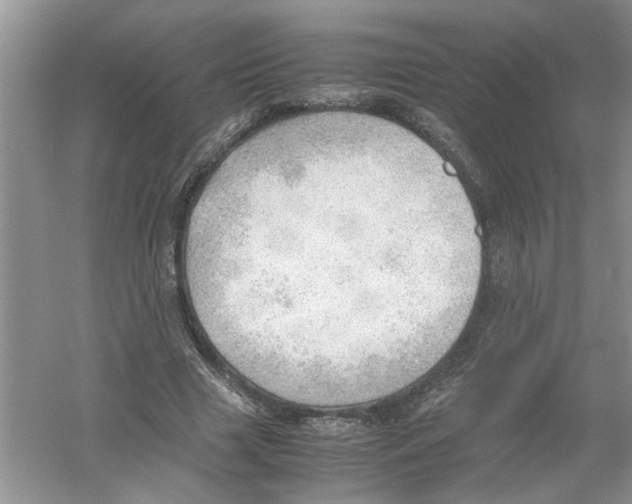 X0000054270633200508261917.png