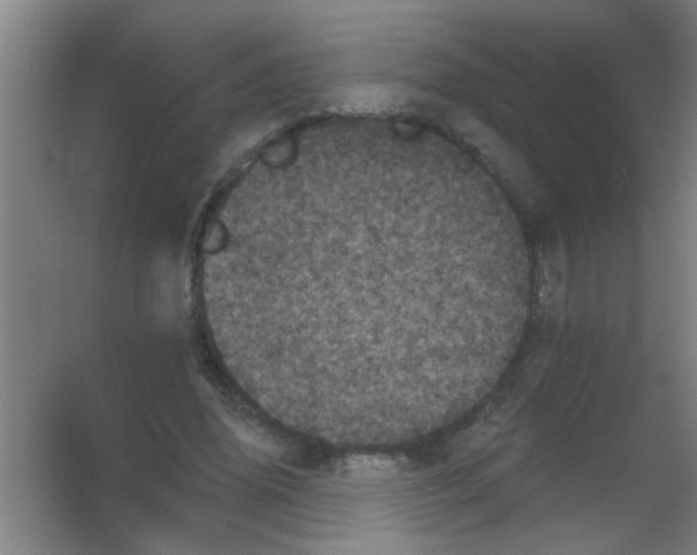 X0000053460636200508112158.png