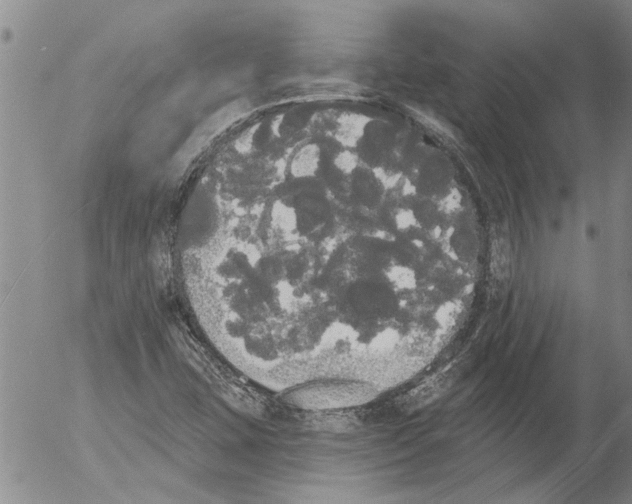 X0000054581407200508300049.png