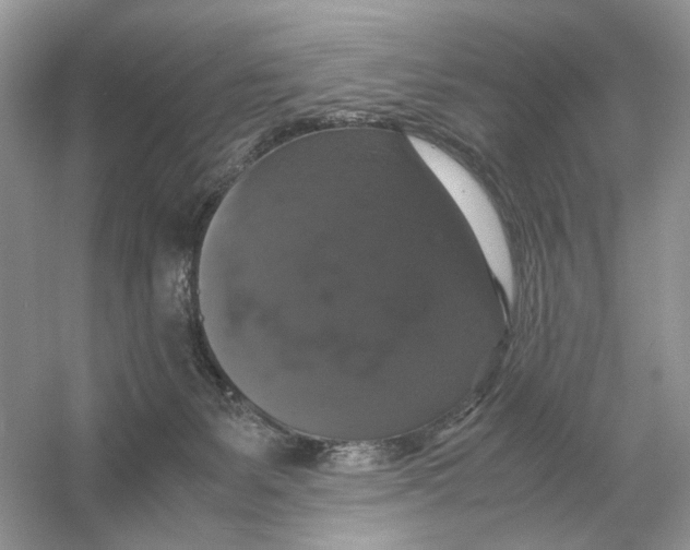 X0000054350127200508190138.png