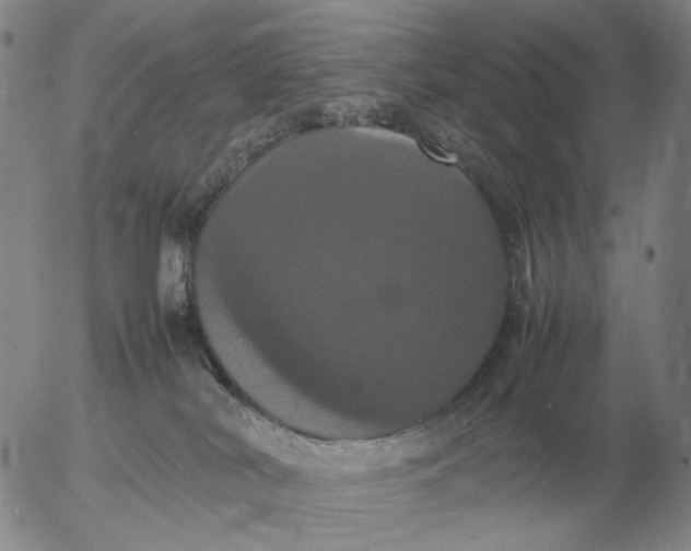 X0000054170038200508101811.png