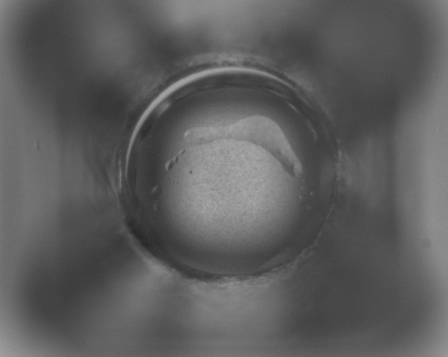 X0000054110013200508022111.png