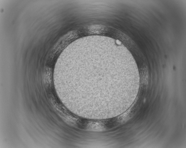 X0000054580174200508300110.png