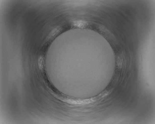 X0000054350036200508190140.png