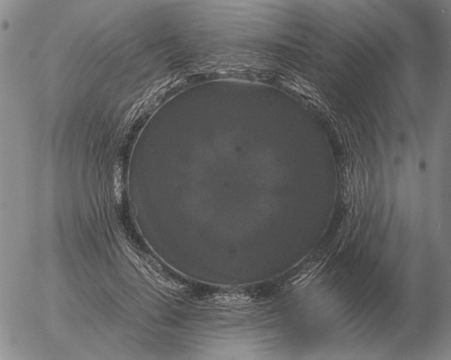 X0000054170644200508101800.png