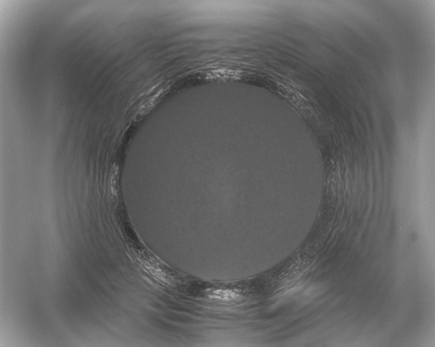 X0000054350649200508190129.png