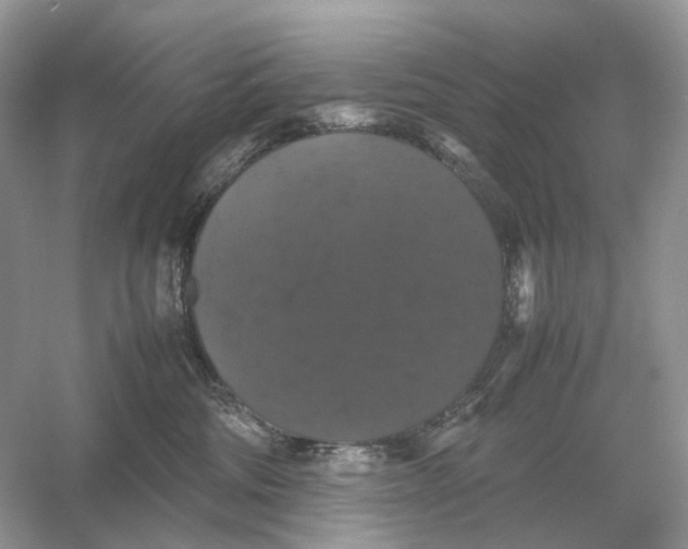 X0000054350330200508190135.png