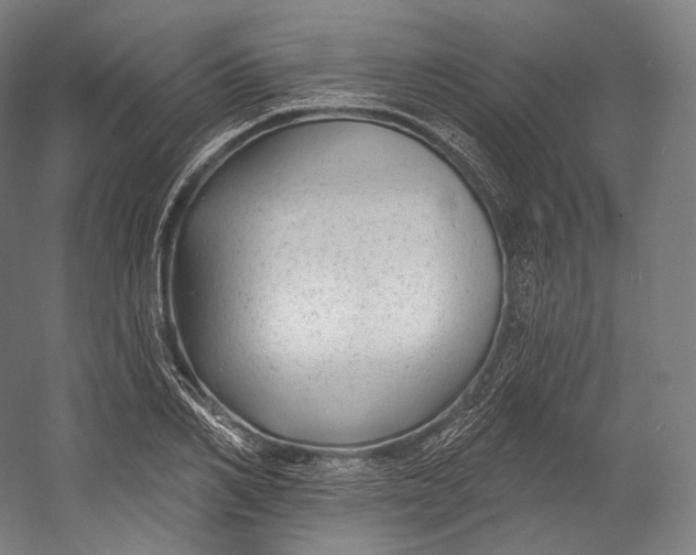 X0000055210982200508301317.png