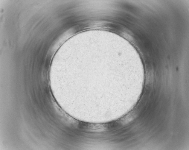 X0000054231338200508171501.png
