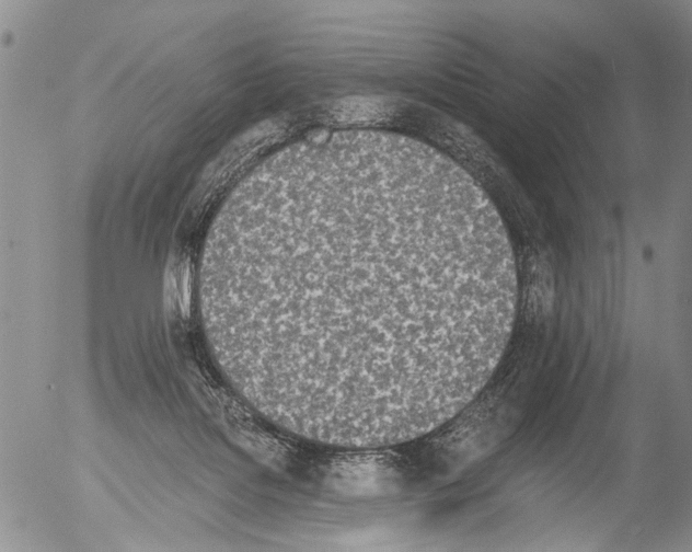 X0000054580076200508300111.png