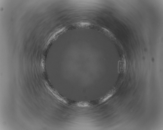 X0000054170762200508101759.png