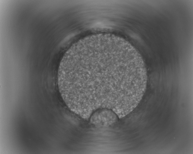 X0000053460870200508112154.png