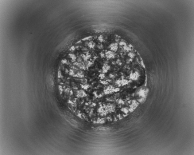 X0000053460691200508112158.png