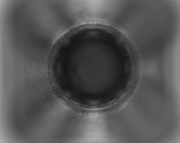 X0000054730826200508171849.png