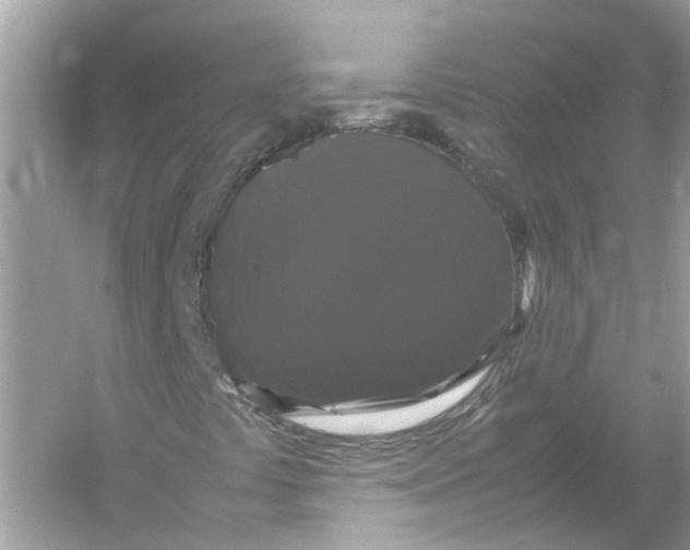 X0000054351441200508190116.png