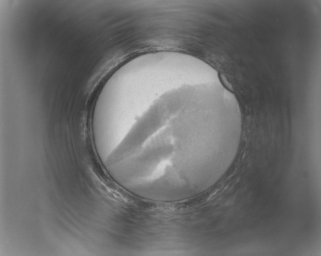 X0000055250194200509071624.png
