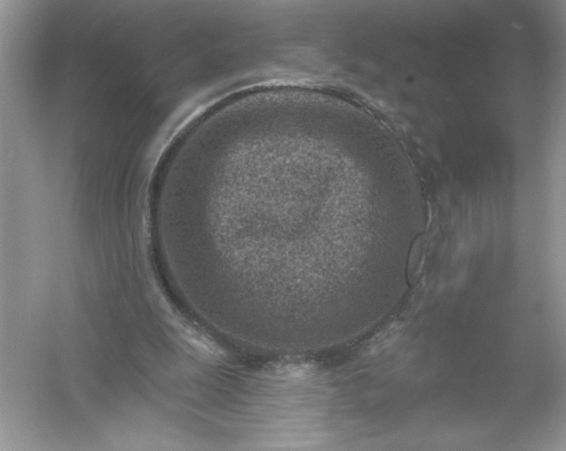 X0000054300247200508042317.png
