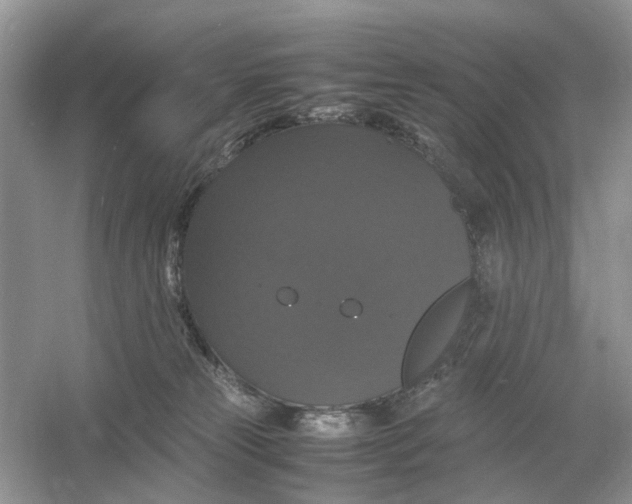 X0000054350181200508190138.png