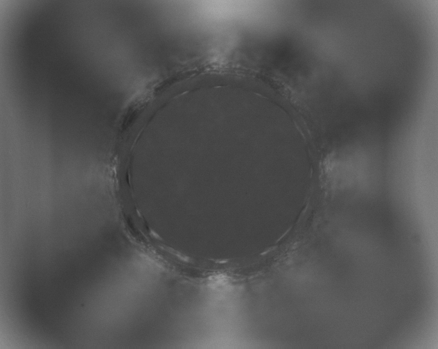 X0000054970423200509051509.png