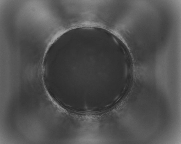 X0000038851381200410131816.png