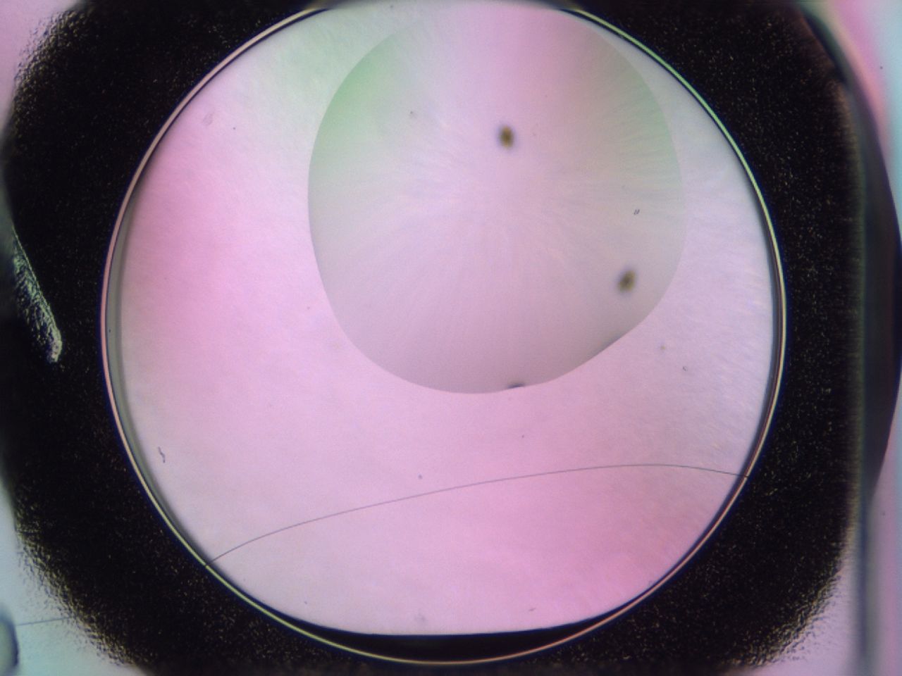 01gi_A3_ImagerDefaults_0.jpg