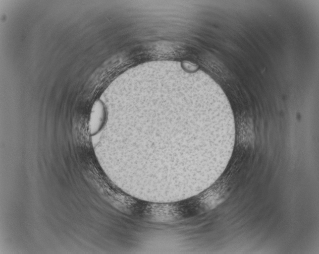 X0000054580766200508300100.png