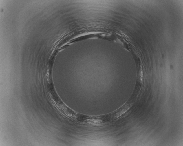 X0000054170552200508101802.png