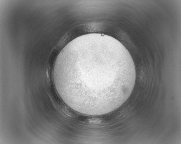 X0000054270214200508261924.png